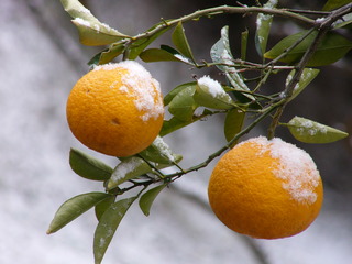 P1020744