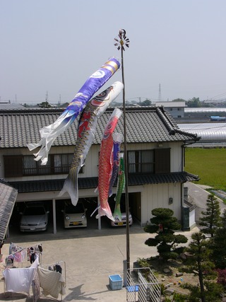 P1070177