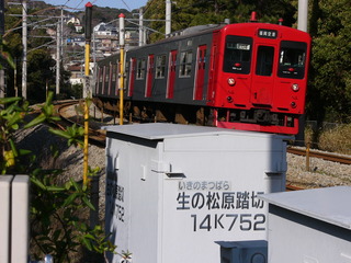 P1030523
