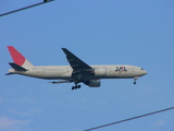P1040251