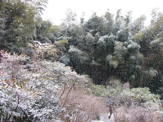 P1020730