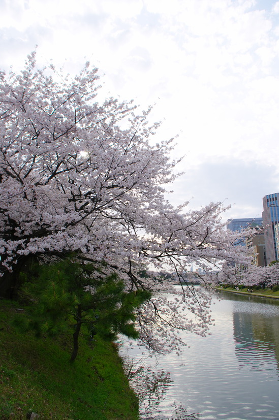 IMGP0630