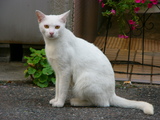 P1040219