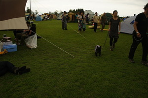 DSC02371