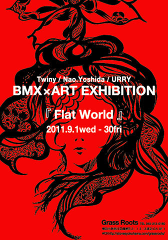 Flat world poster