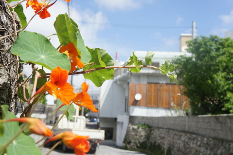 DSC05232
