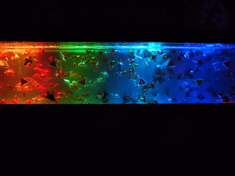 R0016126