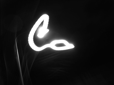 R0010408
