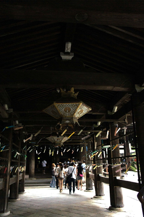 DSC06247