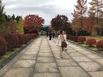 IMG_2917