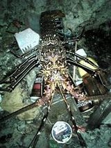 896d50f5.jpg