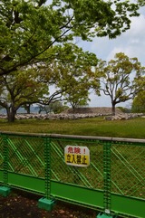 熊本城02
