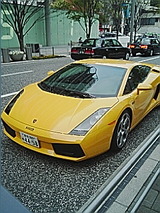 050416_1616~01.jpg