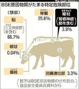 特定危険部位の図