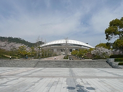 桜1