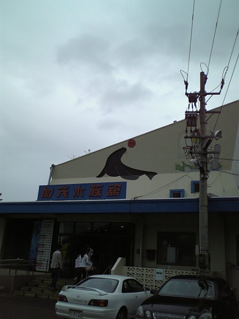 2e837364.jpg