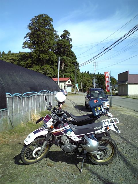 3250c4dc.jpg