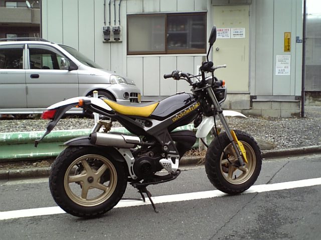 4dca5b51.jpg