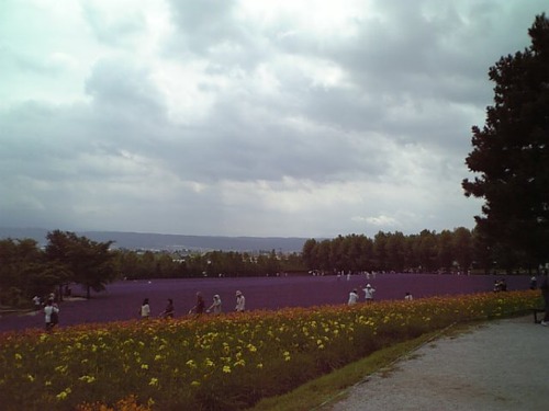 DVC00040