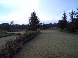 e826acec.jpg