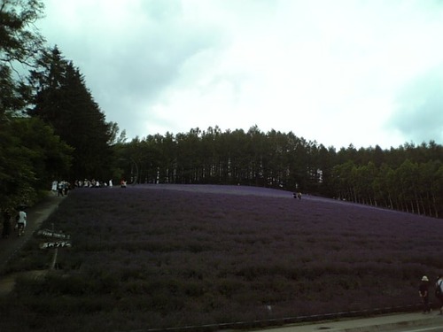 DVC00038
