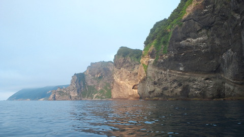 NEC_0084