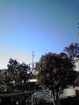332a81af.jpg