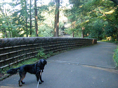 児童公園だよ