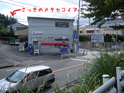 こんなところにあるんです。