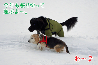 ��ǯ�⸵���ˢ�