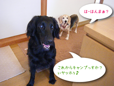 勘違いシスターズ♪