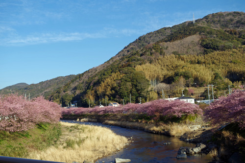 IMGP4625