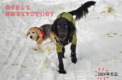 ̤�褫�顩