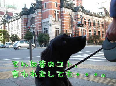 若葉1歳