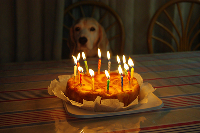 cake4