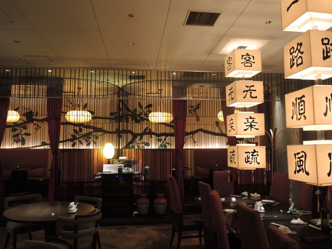 DSCN5509