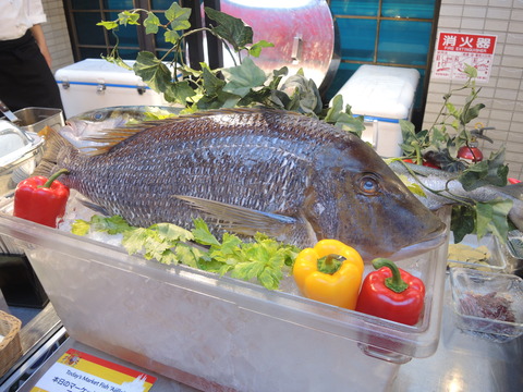 DSCN4593