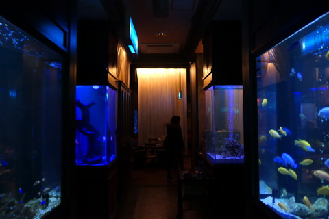 P1210035