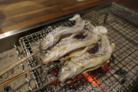 P1060488