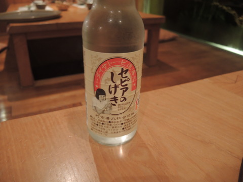 DSCN0033