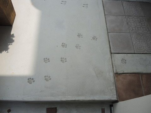 DSCN5646