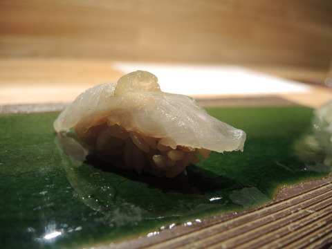 DSCN5107