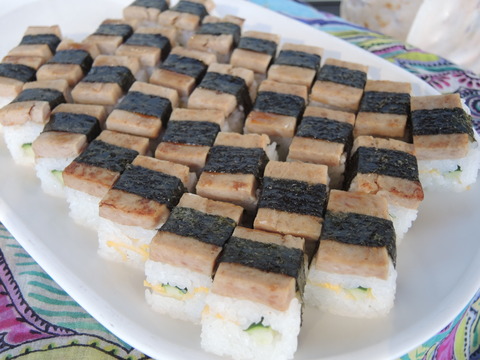 DSCN4446