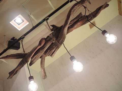 DSCN2554