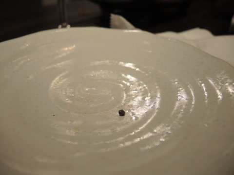 DSCN4677