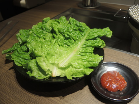 DSCN2571