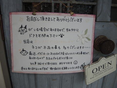 DSCN5647