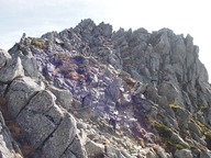 PA130410_R