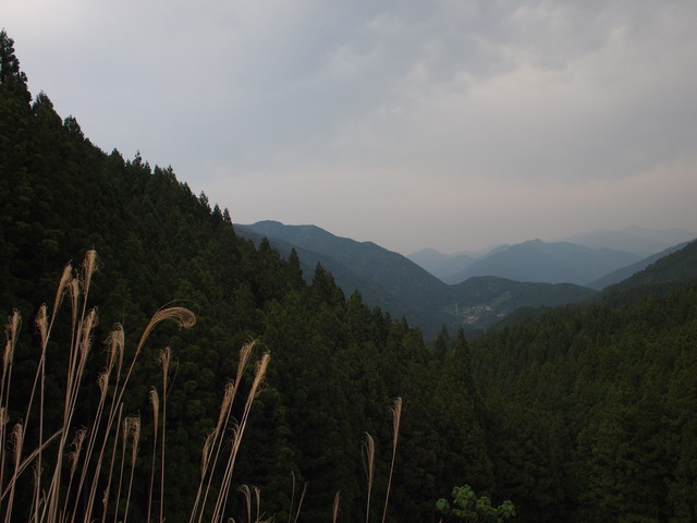 P5253442