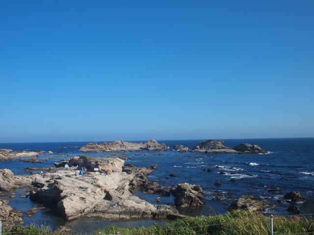 P8164528